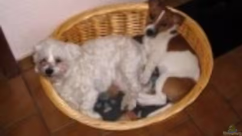 Userbild von nici von nici (6)