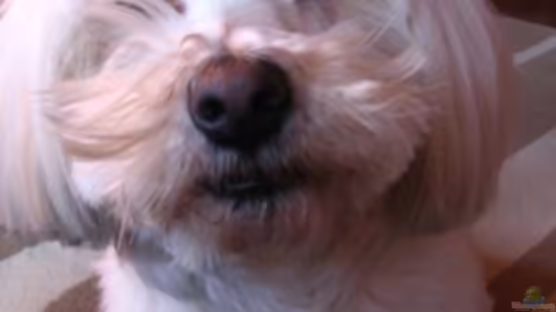 Userbild von nici von nici (9)