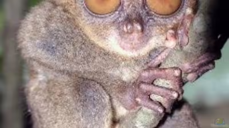 Userbild von Nick3 von Nick3 (30)