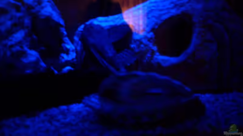 Userbild von Nico Dräger von Nico Dräger (2)