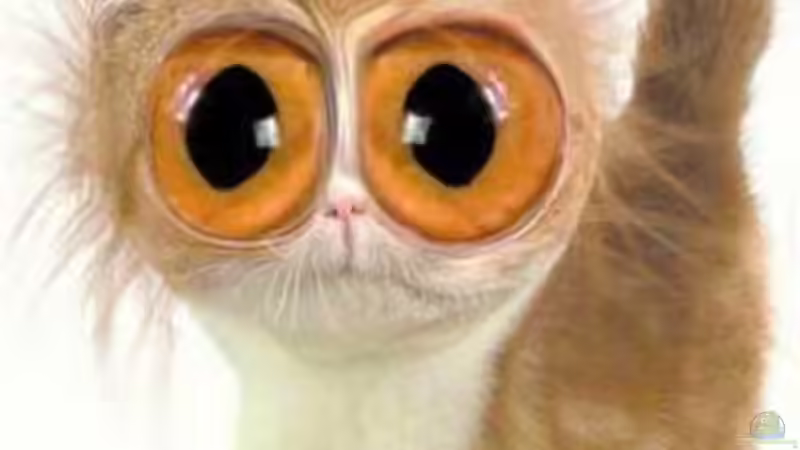 Userbild von Nico von Nico (6)