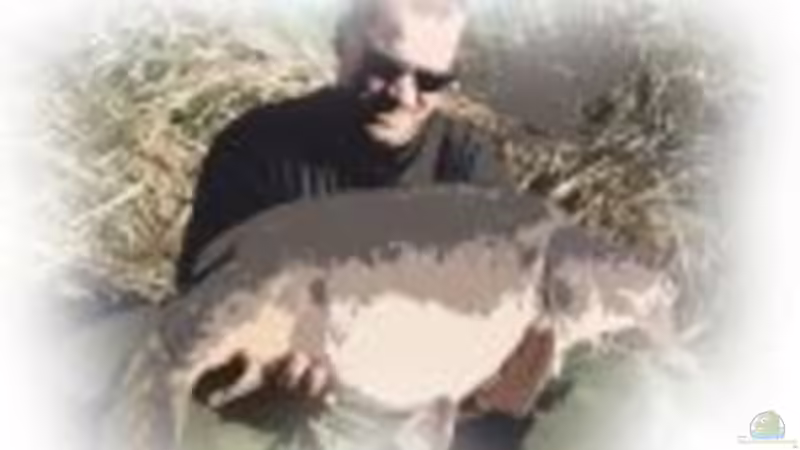 Userbild von Olaf Amend von Olaf Amend (3)