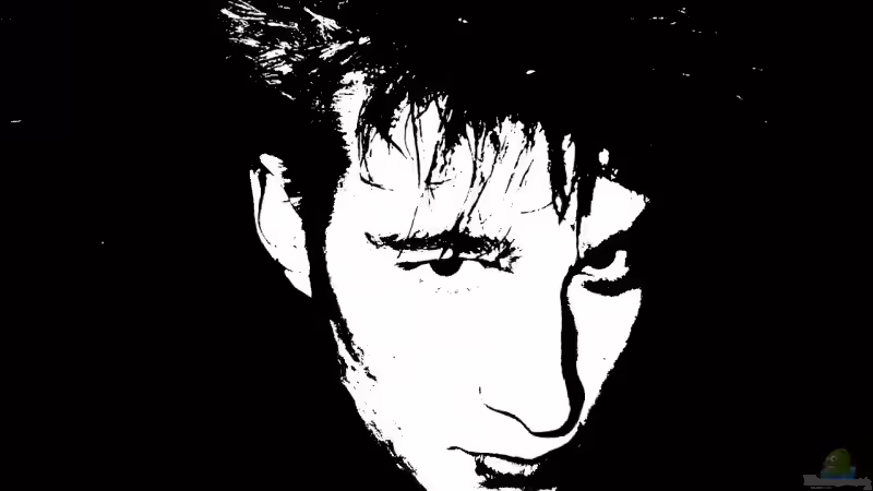 Userbild von Oliver Rädel von Oliver Rädel (31)