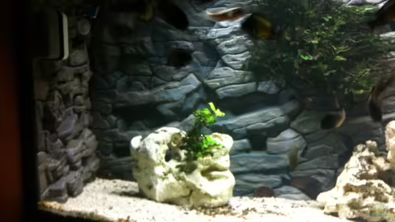 Userbild von Oliver Rank von Oliver Rank (3)