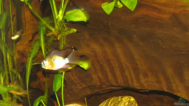 Userbild von Oliver Renkel von Oliver Renkel (12)