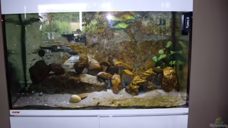 Userbild von Ottmar Lach von Ottmar Lach (2)