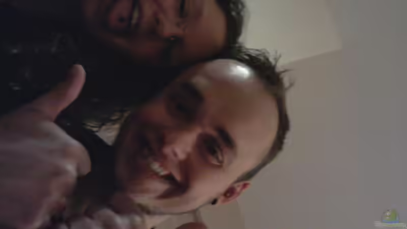 Userbild von Panamericana85 von Panamericana85 (30)