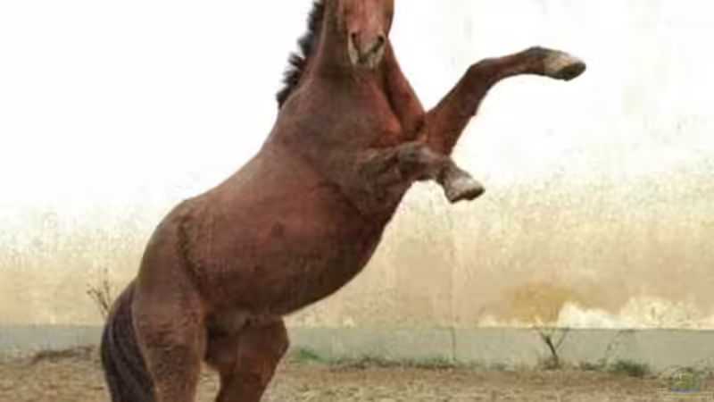 Userbild von paris von paris (32)