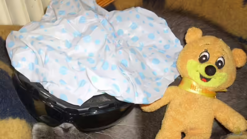 Userbild von Pascal Kapphan von Pascal Kapphan (20)