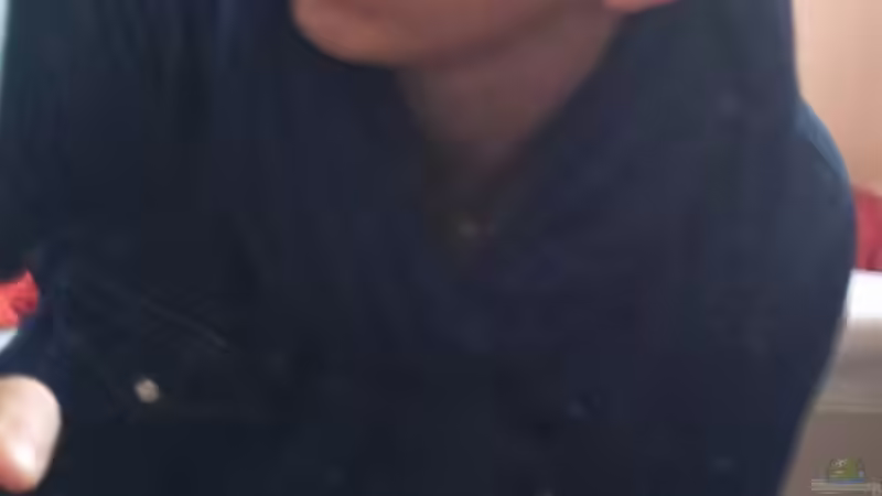 Userbild von Patrick Kroner von Patrick Kroner (18)