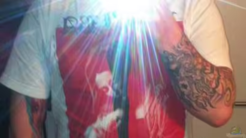 Userbild von Patrick S. von Patrick S. (17)