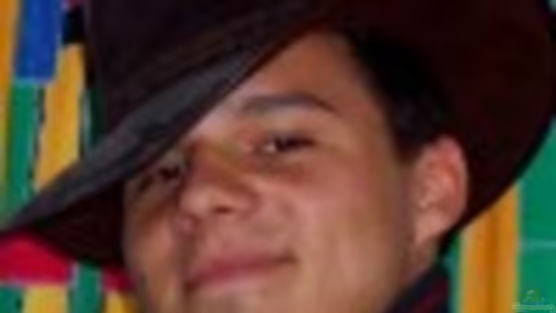 Userbild von Patrick Will von Patrick Will (10)