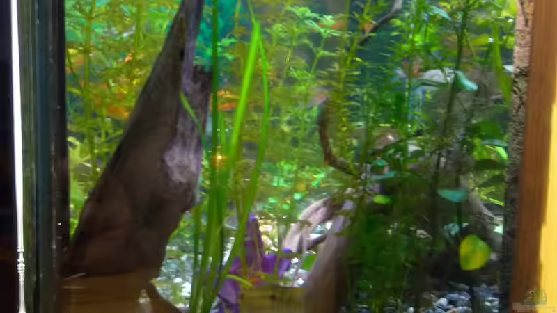 Userbild von Paul Klekar von Paul Klekar (4)