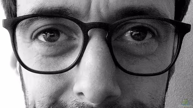 Userbild von PEM von PEM (24)