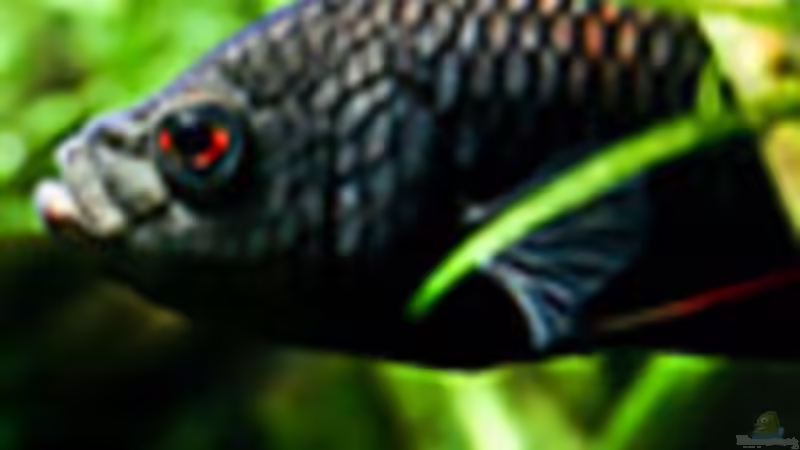 Userbild von Pete von Pete (19)