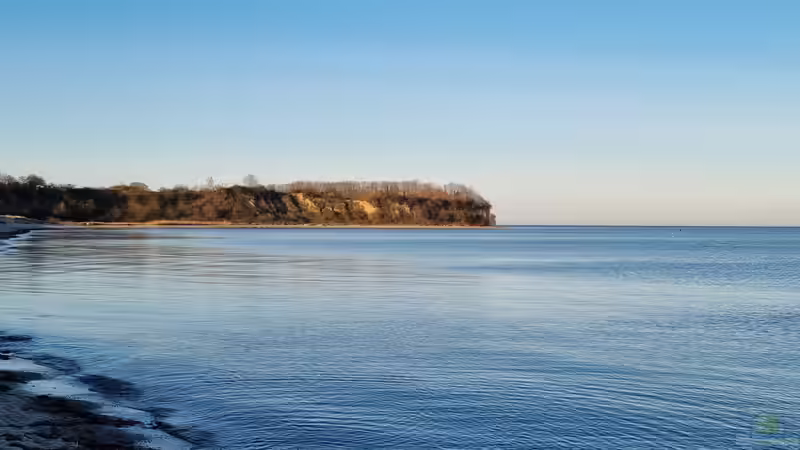 Userbild von Peter Peter von Peter Peter (110)