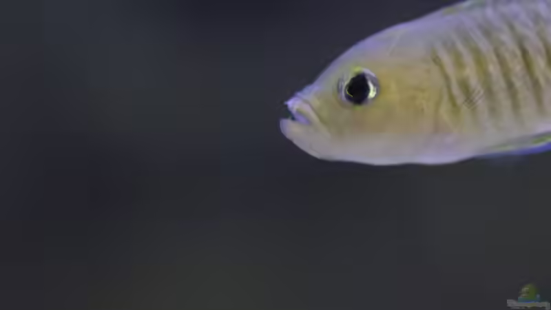 Userbild von PhilGabriel von PhilGabriel (17)