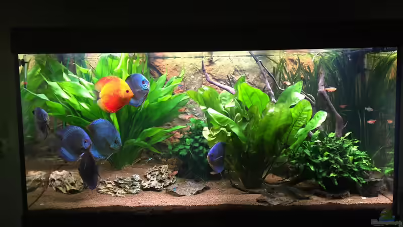 Userbild von Philipp Fichte von Philipp Fichte (14)