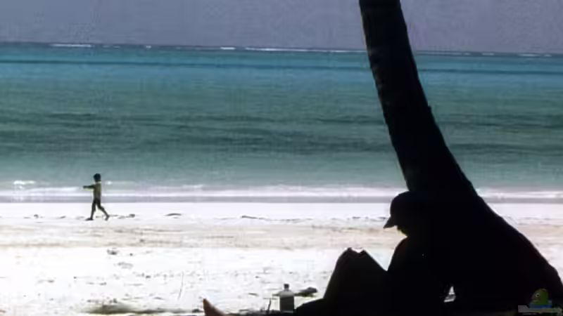 Userbild von photizo von photizo (28)