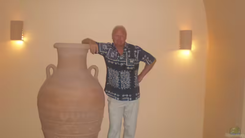 Userbild von Pico von Pico (12)