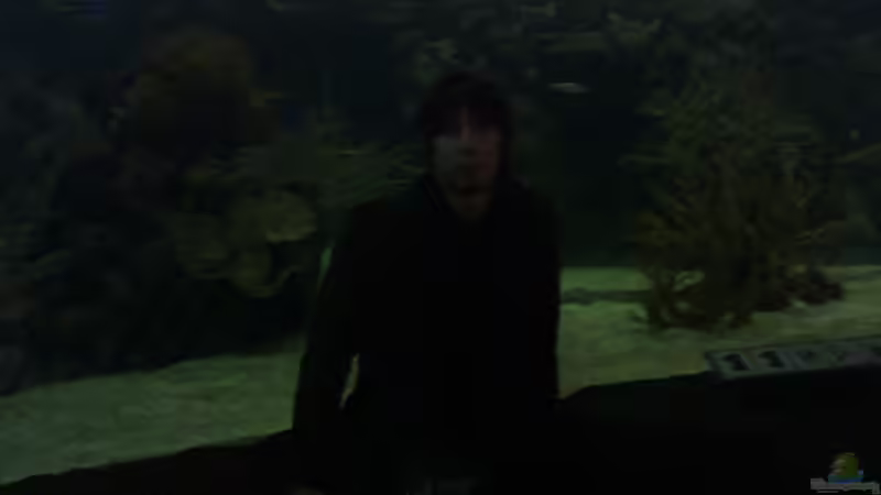 Userbild von Pierre von Pierre (30)