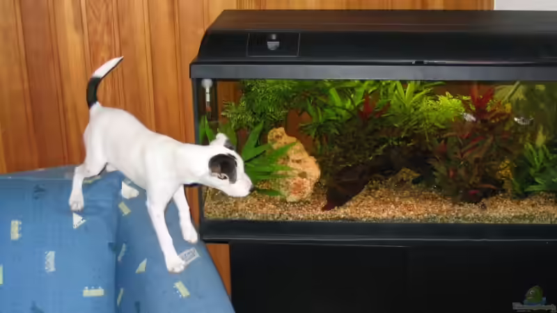 Userbild von Pille von Pille (27)