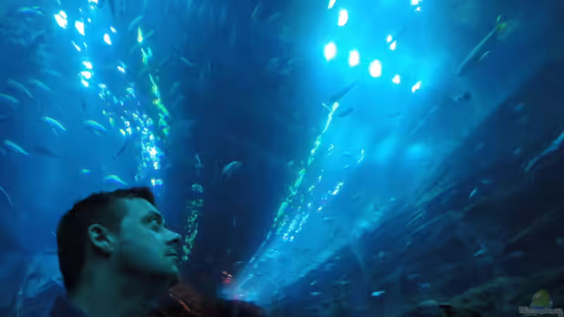 Userbild von Pillemann77 von Pillemann77 (25)