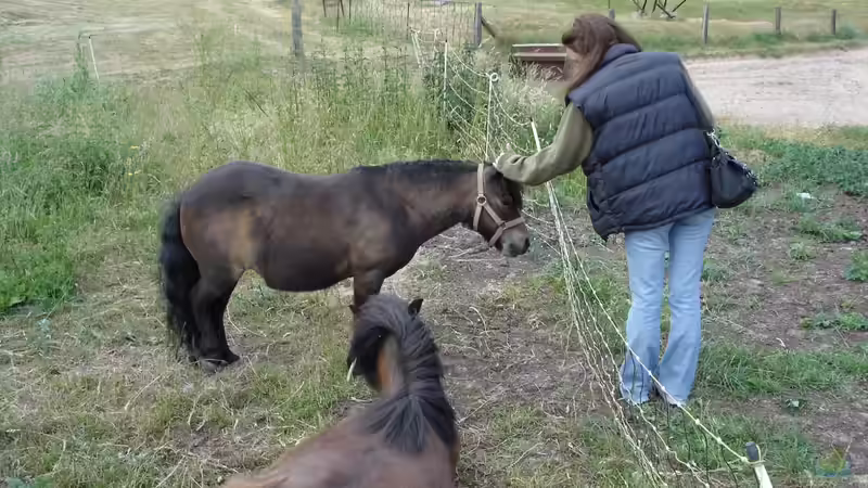 Userbild von Princessmichi von Princessmichi (2)