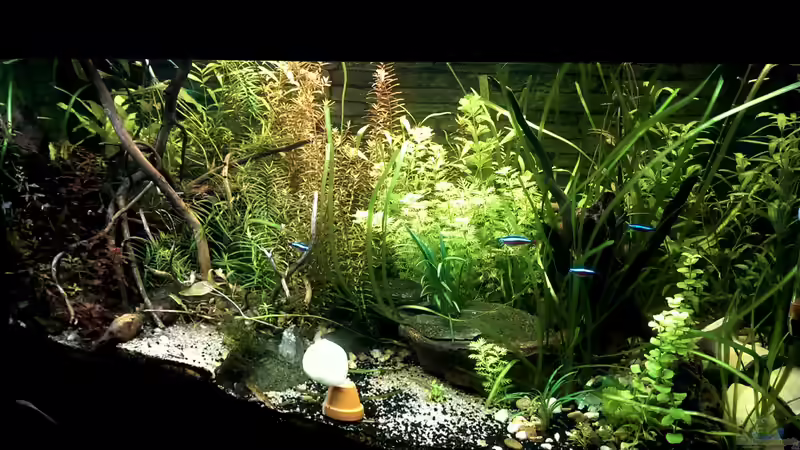 Userbild von Pseudoym von Pseudoym (9)