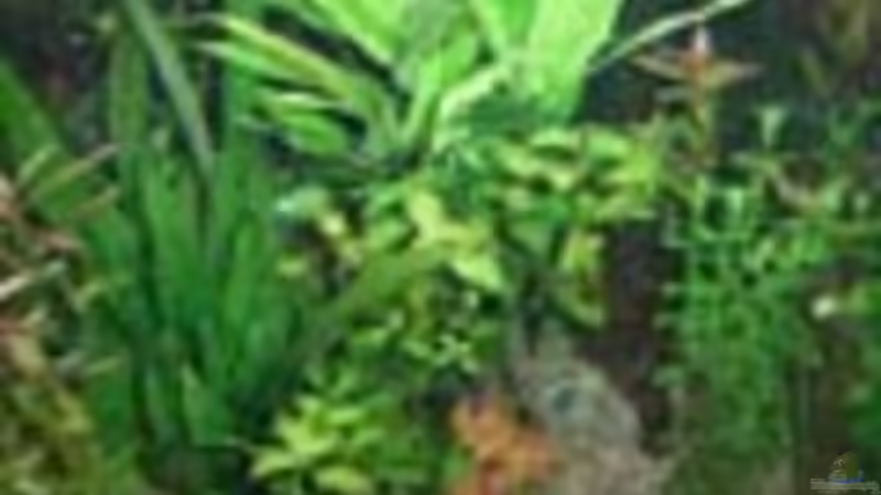 Userbild von qmman von qmman (9)