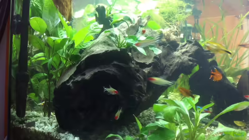 Userbild von Quasi von Quasi (11)