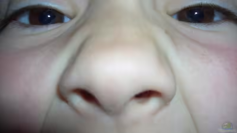 Userbild von quentino von quentino (16)