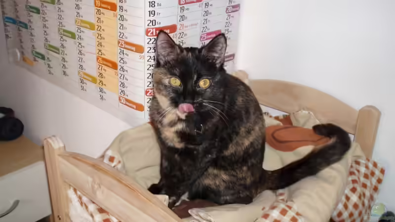 Userbild von Rafael & Nicky Portillo von Rafael & Nicky Portillo (9)