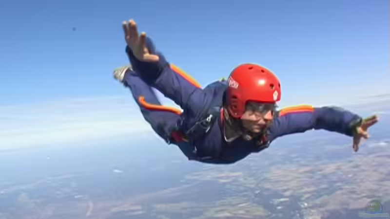 Userbild von Raid_0 von Raid_0 (20)