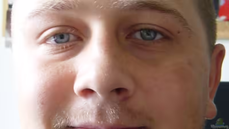 Userbild von Rainer Faßbender von Rainer Faßbender (20)