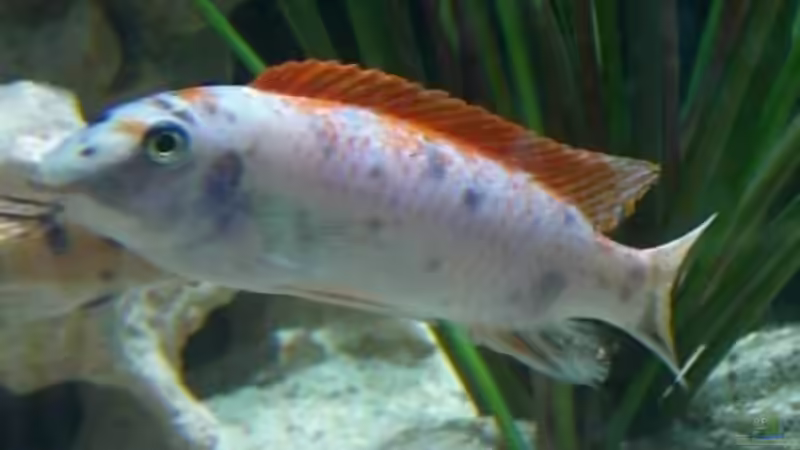 Userbild von Rainer Klettke von Rainer Klettke (24)