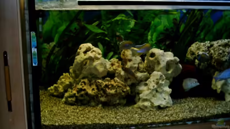 Userbild von Ralf Bergler von Ralf Bergler (3)