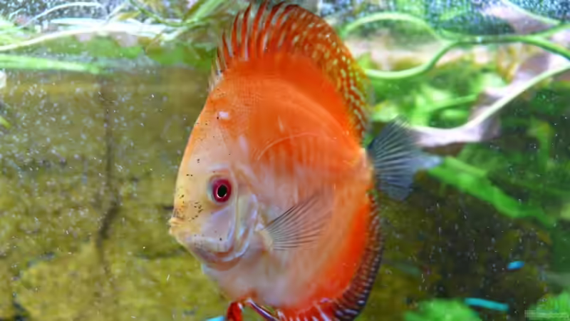 Userbild von Ralf Hoffmann von Ralf Hoffmann (22)