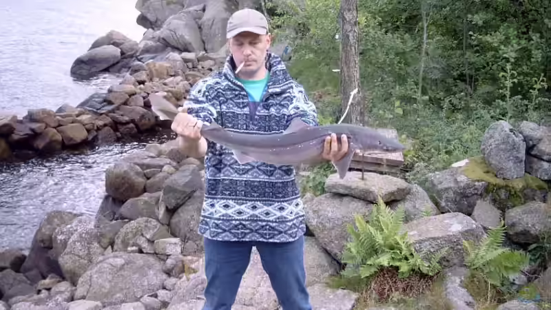 Userbild von Ralf Schmitz von Ralf Schmitz (13)