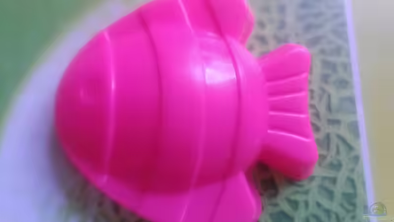 Userbild von Ralf.SOS von Ralf.SOS (7)