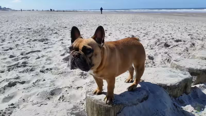 Userbild von Ralleplus FARA von Ralleplus FARA (3)