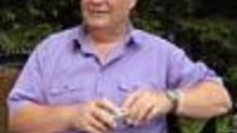 Userbild von rane von rane (20)