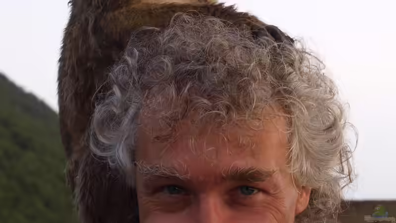 Userbild von rapid von rapid (51)