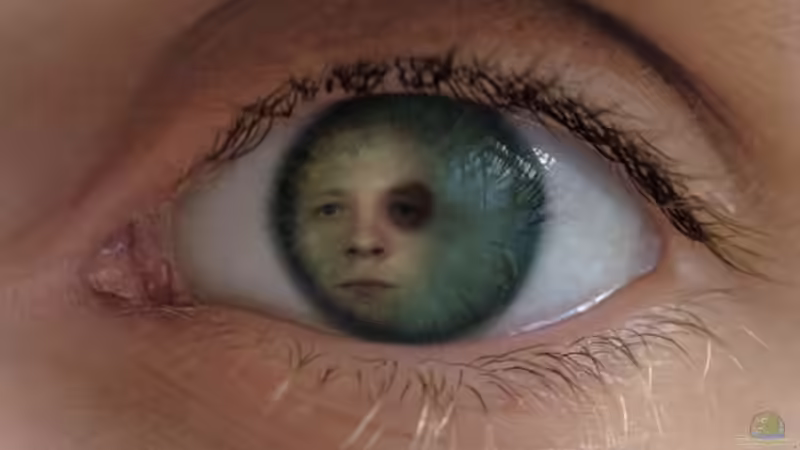 Userbild von ray0815 von ray0815 (3)