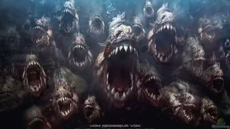 Userbild von Red Belly von Red Belly (13)