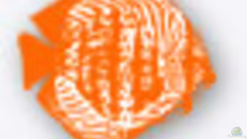 Userbild von Redfin von Redfin (34)