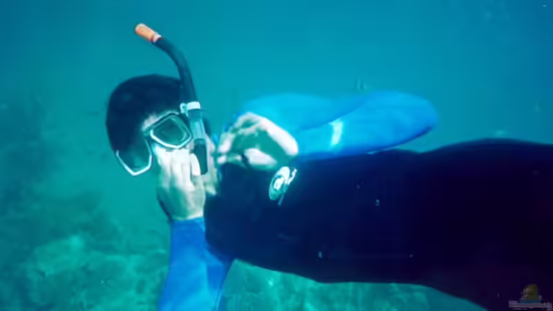 Userbild von reefaddict von reefaddict (24)