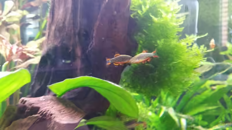 Userbild von Repona von Repona (7)