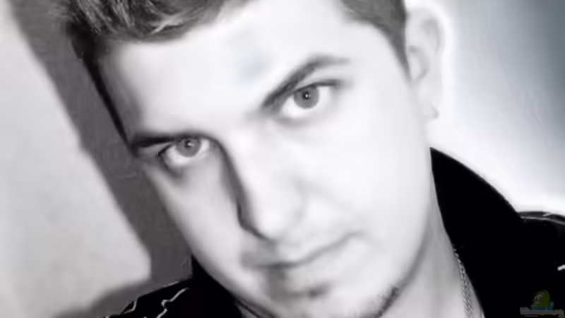 Userbild von Rob86 von Rob86 (19)