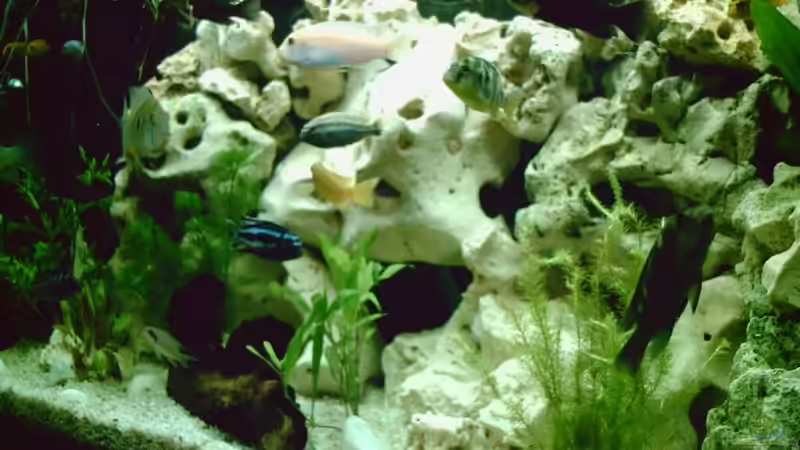 Userbild von Ronald Leuschner von Ronald Leuschner (18)